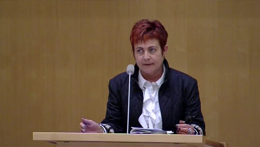 Stillbild från Debatt om förslag, Kulturarvsfrågor