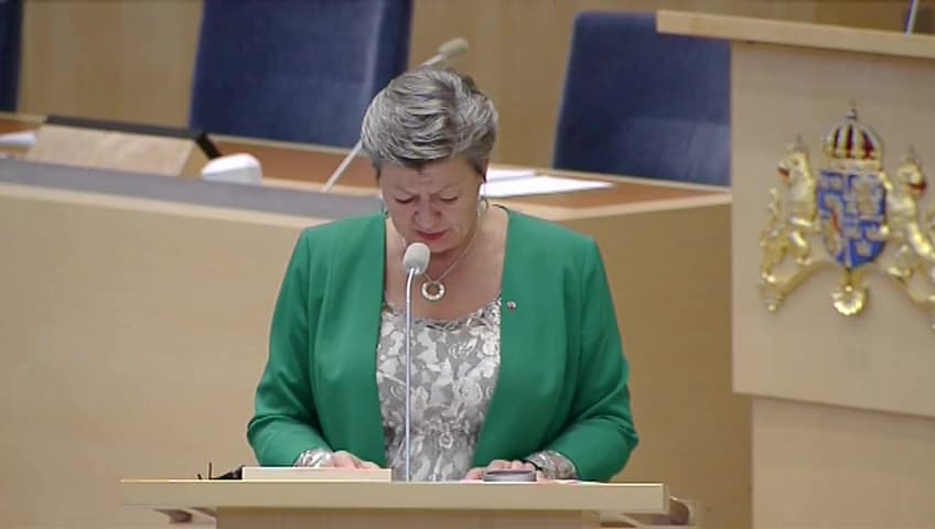 Stillbild från Interpellationsdebatt, Insatser för ökad sysselsättning bland utrikes födda kvinnor