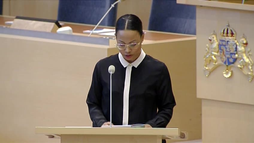 Stillbild från Interpellationsdebatt, Åtgärder mot handel med stulna kulturföremål