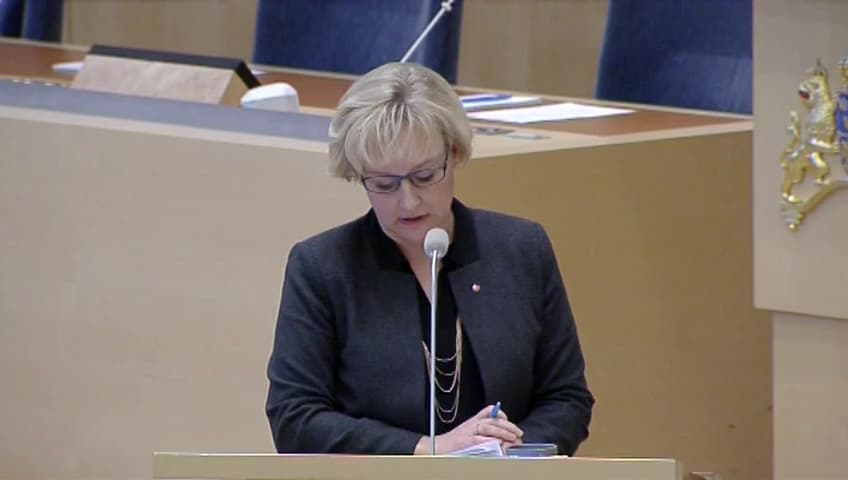 Stillbild från Interpellationsdebatt, Kärnkraftssäkerhet