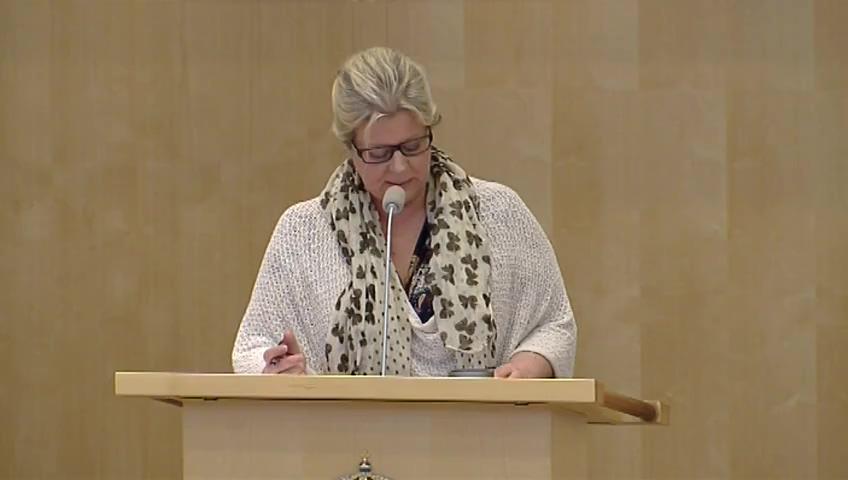 Stillbild från Debatt om förslag, Förskolan