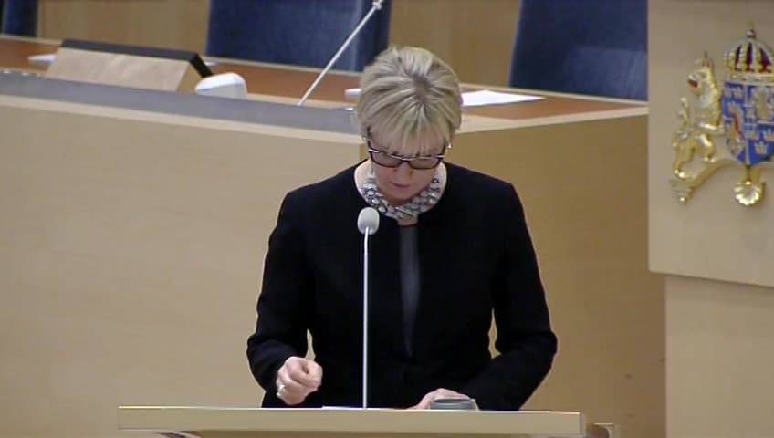 Stillbild från Interpellationsdebatt, Frisläppande av Nadija Savtjenko