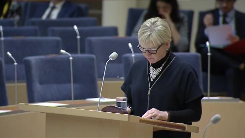 Stillbild från Interpellationsdebatt, Belägring av städer i Turkiet