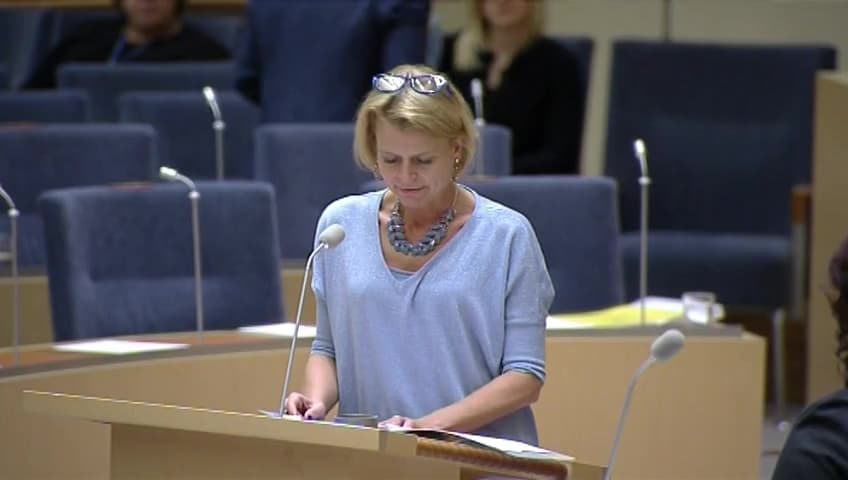 Stillbild från Interpellationsdebatt, Barnäktenskap och familjeplaceringar