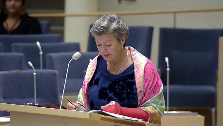 Stillbild från Interpellationsdebatt, Ineffektiva arbetsmarknadsutbildningar