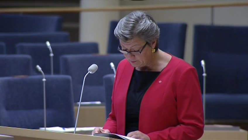 Stillbild från Interpellationsdebatt, Alternativ till sysselsättningsfasen