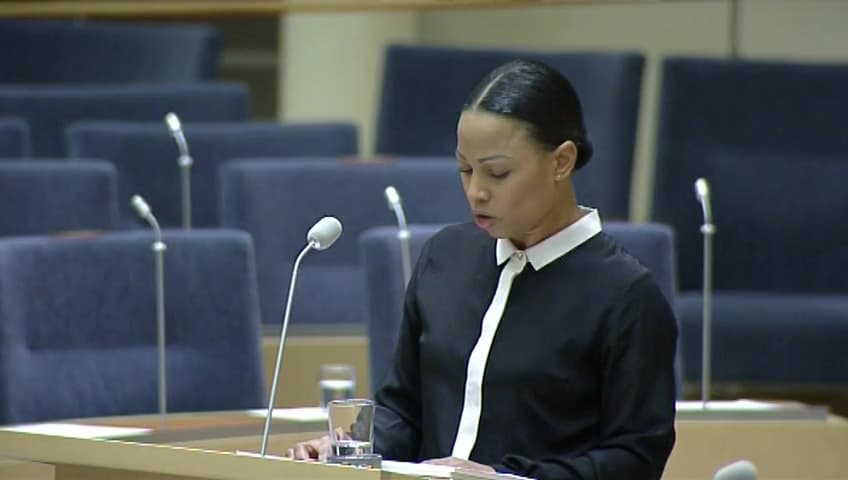 Stillbild från Interpellationsdebatt, Den fortsatta processen om piratkopiering