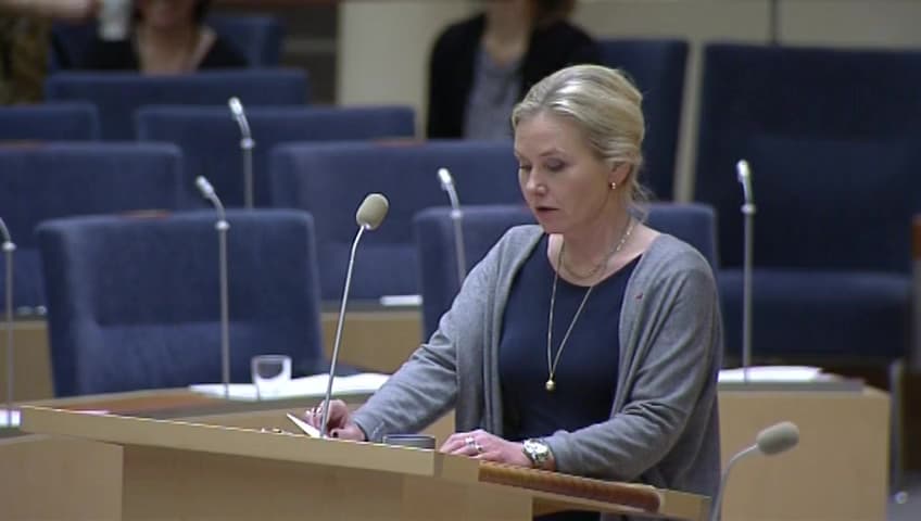 Stillbild från Interpellationsdebatt, Regionala flygplatser