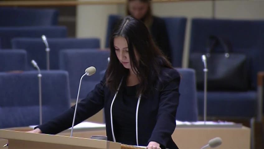 Stillbild från Interpellationsdebatt, Arbetsmarknaden för unga på orter med få arbetsgivare