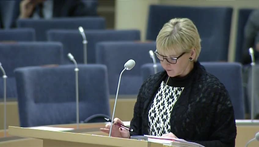 Stillbild från Interpellationsdebatt, De pågående förhandlingarna kring Cyperns framtid