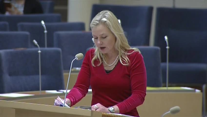 Stillbild från Interpellationsdebatt, Utarmning av det regionala flyget i Sverige