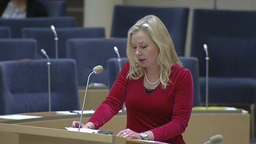 Stillbild från Interpellationsdebatt, Alkobommar i hamnar