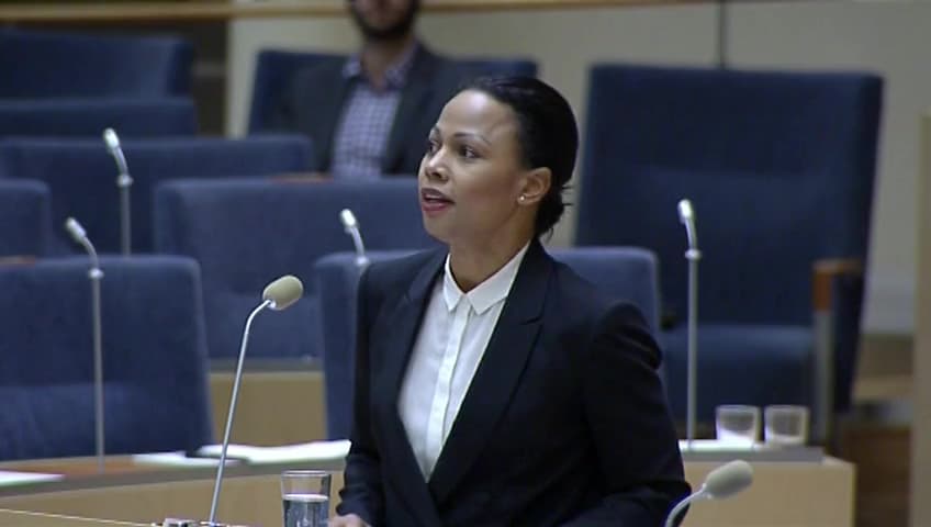 Stillbild från Interpellationsdebatt, Finlandssvenskarnas ställning i Sverige