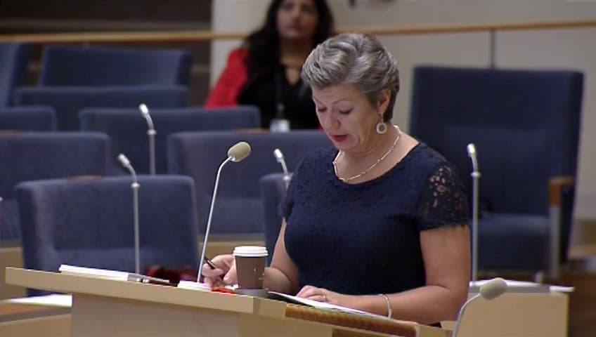 Stillbild från Interpellationsdebatt, Arbetslöshetsskapande åtgärder