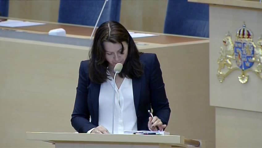 Stillbild från Interpellationsdebatt, Den småskaliga vattenkraftens betydelse för kulturmiljöer