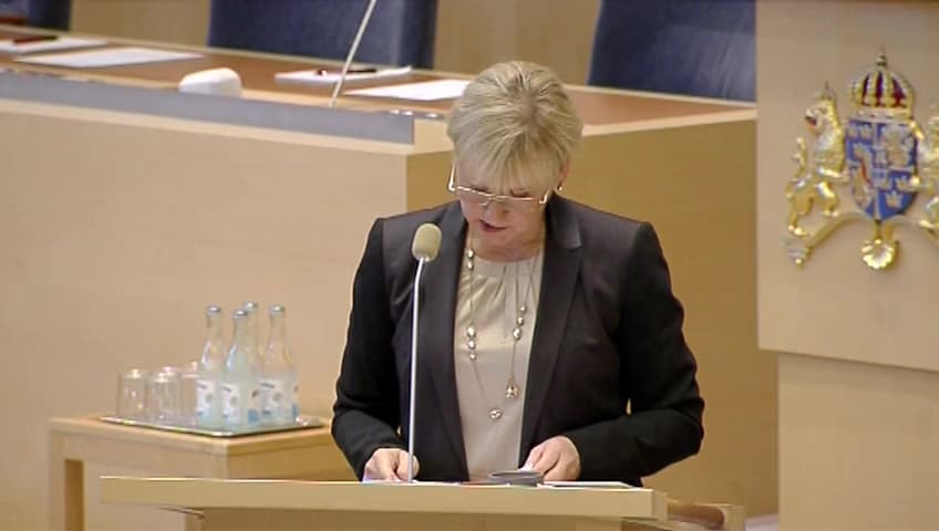 Stillbild från Interpellationsdebatt, Den turkiska regeringens agerande