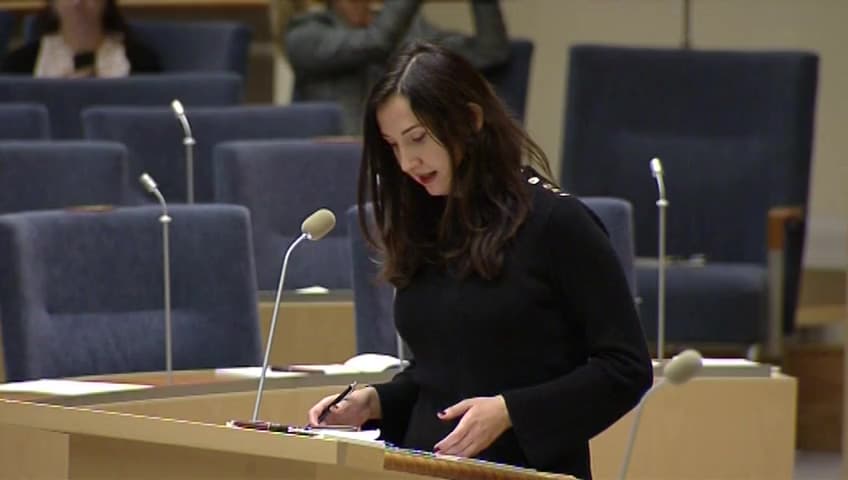 Stillbild från Interpellationsdebatt, Hantverkskunnandets status och bevarande