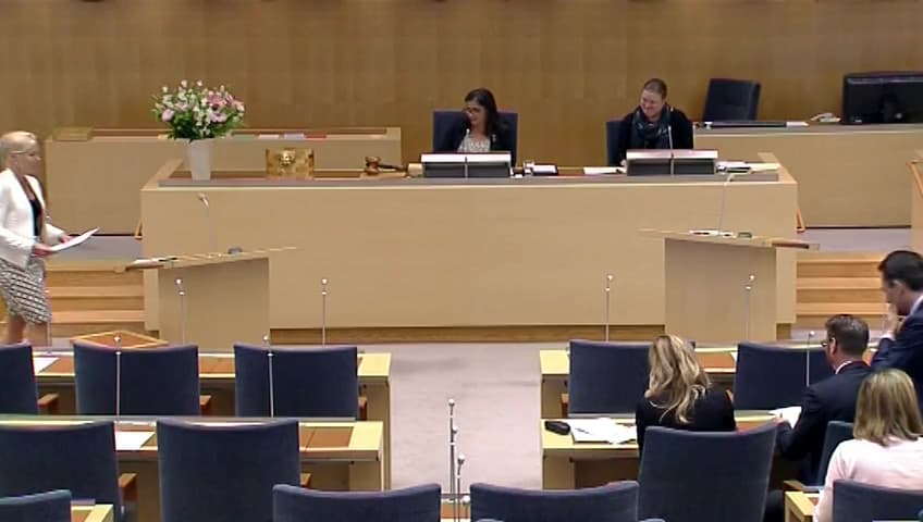 Stillbild från Interpellationsdebatt, Utjämningssystem för kostnader för säkerhetspersonal på flygplatser 