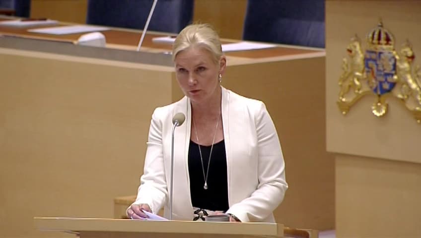 Stillbild från Interpellationsdebatt, Sjösäkerheten på Hjälmaren