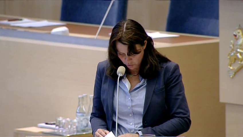 Stillbild från Interpellationsdebatt, Marint skräp - ett allvarligt miljöhot