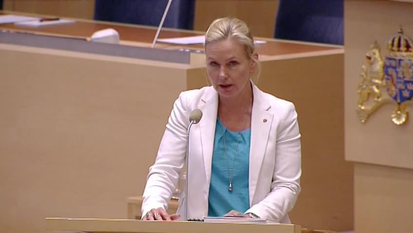 Stillbild från Interpellationsdebatt, Planering av banunderhåll