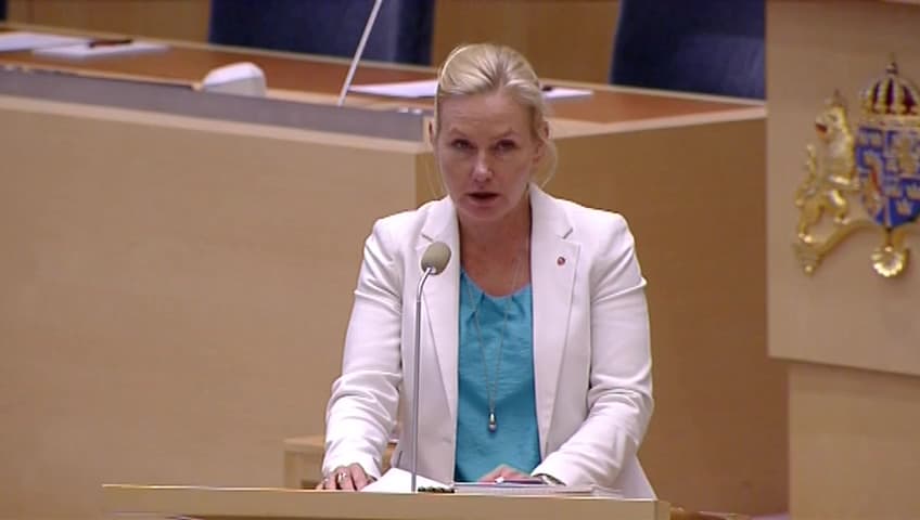 Stillbild från Interpellationsdebatt, Kryssningsfartygen