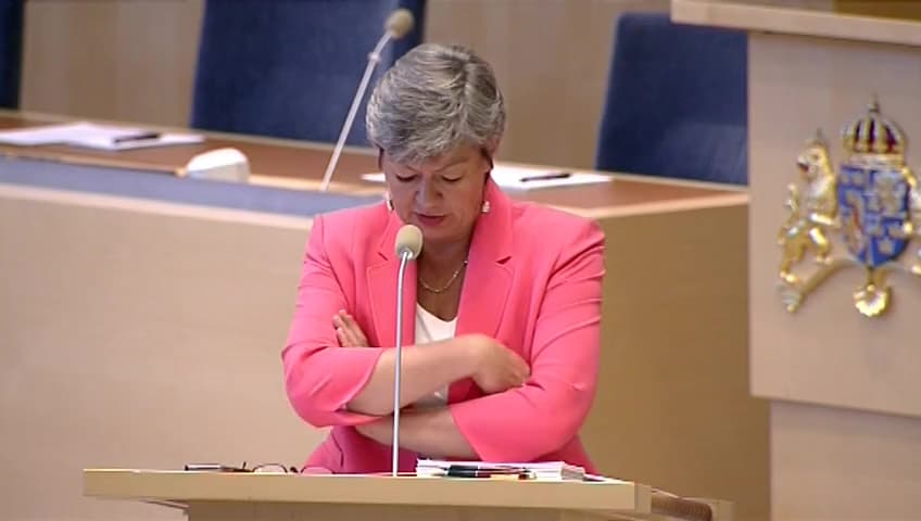 Stillbild från Interpellationsdebatt, Regeringens ambitioner för nya jobb