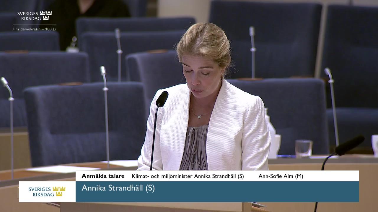 Stillbild från Interpellationsdebatt, Återvinning av kompositmaterial