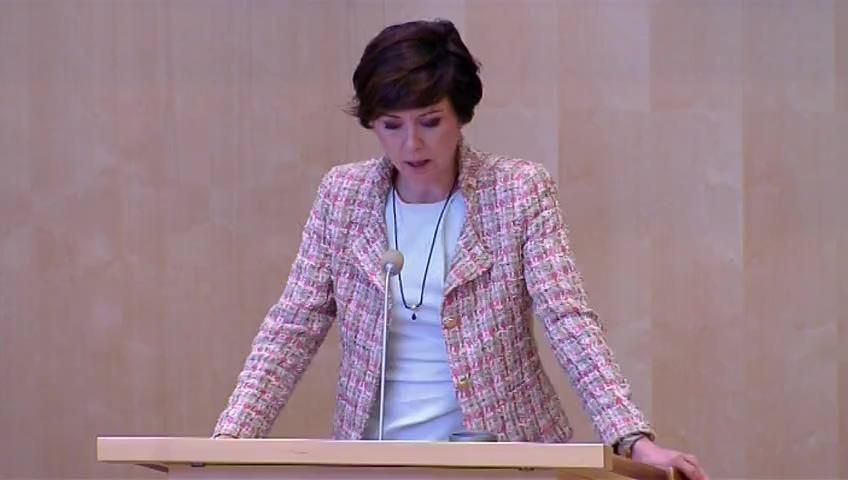 Stillbild från Debatt om förslag, Redovisning av elnätsverksamhet