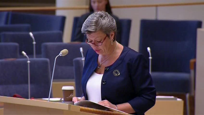 Stillbild från Interpellationsdebatt, Heltid