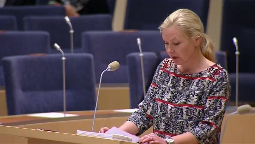 Stillbild från Interpellationsdebatt, Parkeringsutredningen