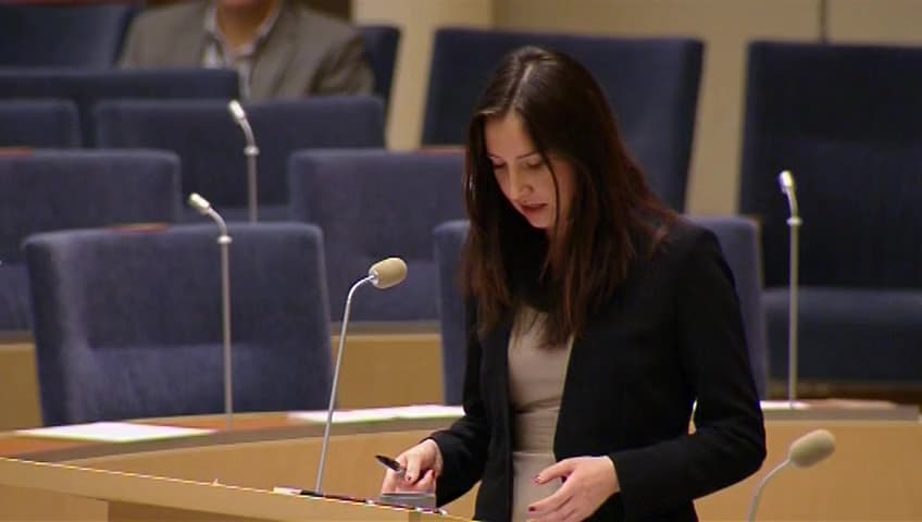 Stillbild från Interpellationsdebatt, Godkänd gymnasieutbildning