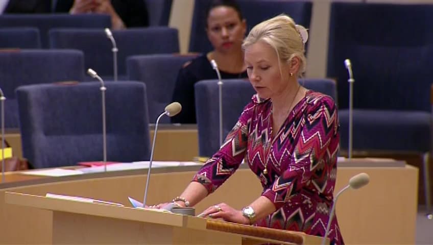 Stillbild från Interpellationsdebatt, Den maritima strategin