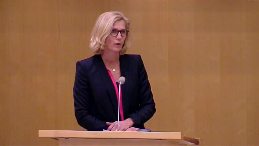 Stillbild från Debatt om förslag, Kultur och fritid för barn och unga