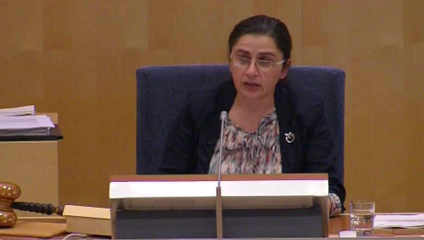 Stillbild från Debatt om förslag, Immaterialrättsliga frågor