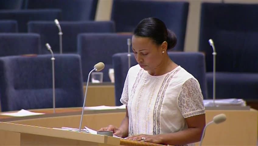 Stillbild från Interpellationsdebatt, Uppåkra arkeologiska centrum