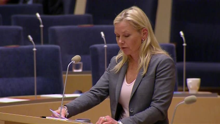 Stillbild från Interpellationsdebatt, Flygsäkerhet