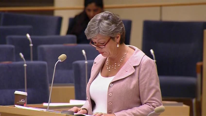 Stillbild från Interpellationsdebatt, Nyanländas sysselsättning inom två år