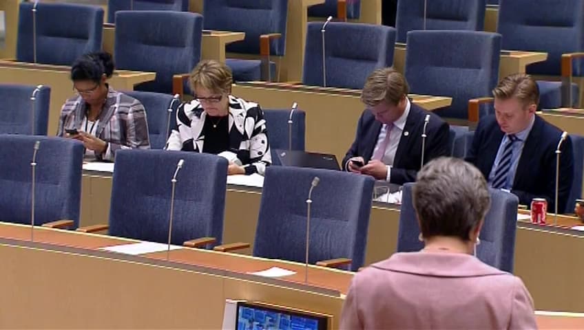 Stillbild från Interpellationsdebatt, Validering