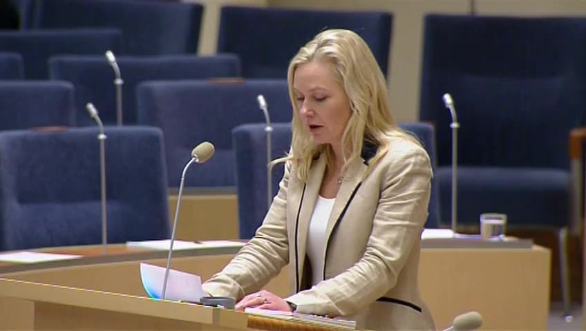 Stillbild från Interpellationsdebatt, Alkobommar vid alla hamnar och gränsstationer