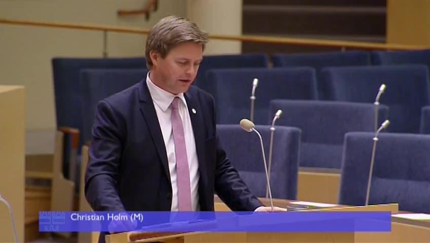 Stillbild från Interpellationsdebatt, Provanställning