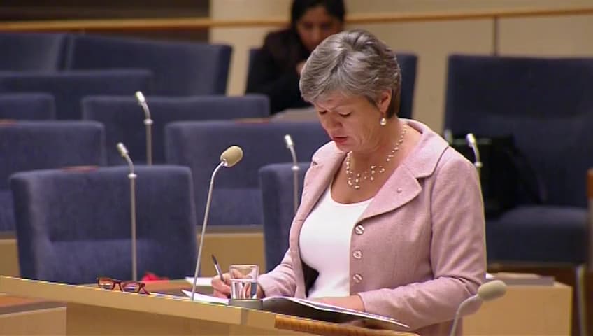 Stillbild från Interpellationsdebatt, Traineejobb