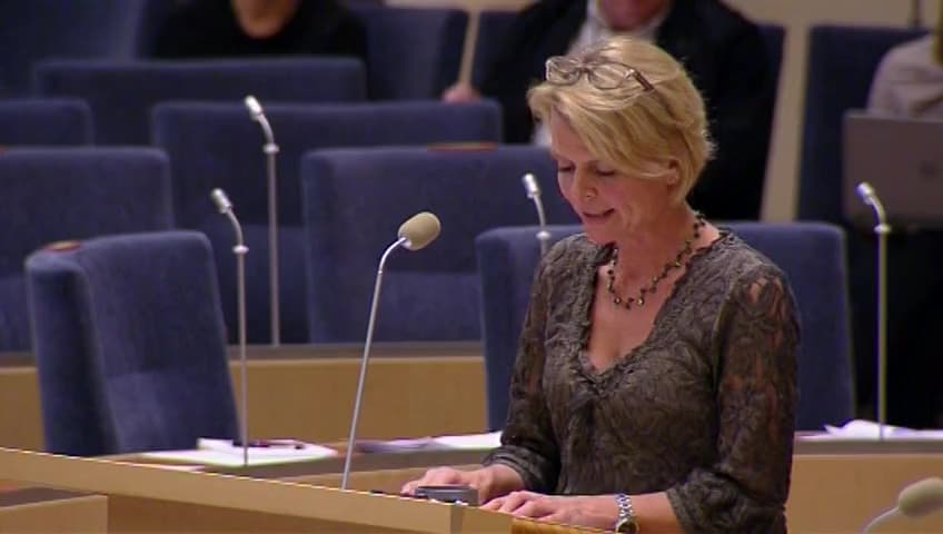 Stillbild från Interpellationsdebatt, Nationella insatser för hemlösa EU-migranter