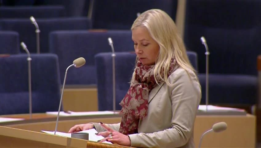 Stillbild från Interpellationsdebatt, Bromma flygplats