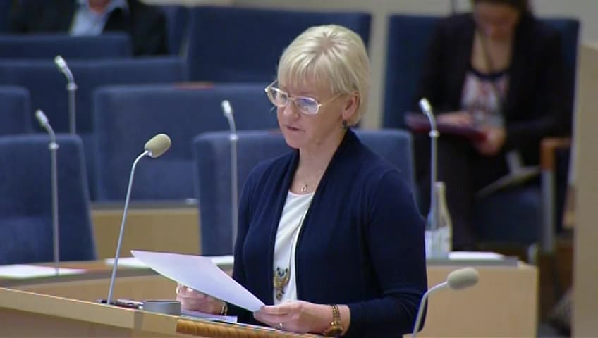 Stillbild från Interpellationsdebatt, Islamiska statens/Daeshs folkmord i Irak och Syrien