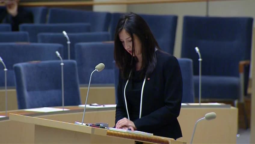 Stillbild från Interpellationsdebatt, Gymnasieavhopp