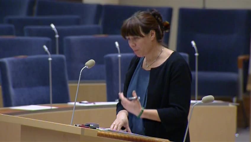 Stillbild från Interpellationsdebatt, Miljöeffekter av att bygga på stadsnära flygplatser