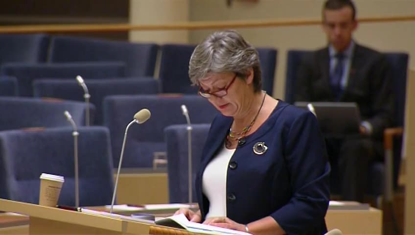 Stillbild från Interpellationsdebatt, Vikten av riktigt jobbskapande