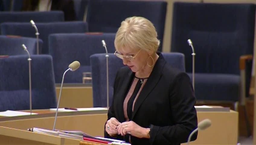 Stillbild från Interpellationsdebatt, Sveriges politik för ett fritt Palestina och fred i Mellanöstern