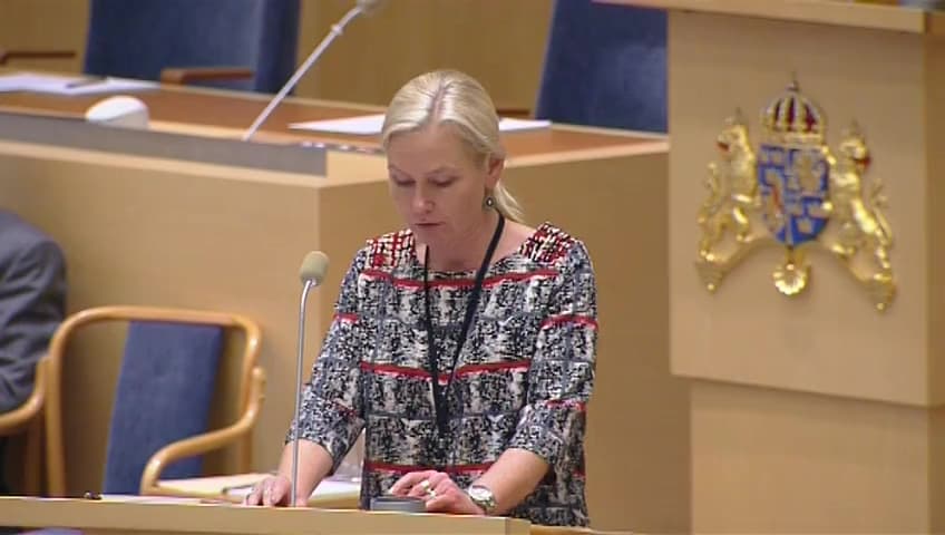 Stillbild från Interpellationsdebatt, Föreslagen nedläggning av Linköping City Airport